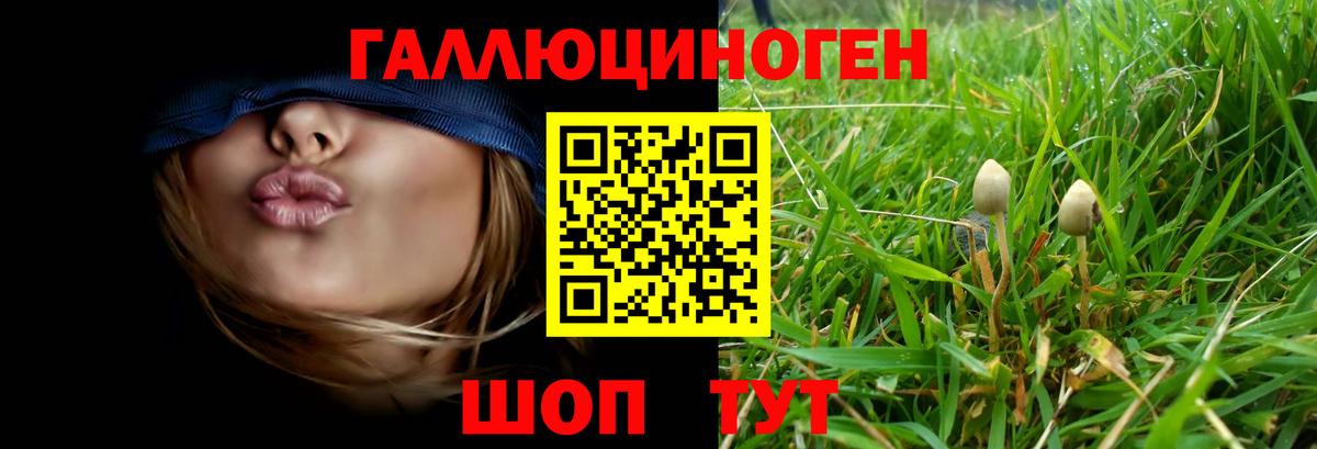 Щёлково  Псилоцибиновые грибы мухоморы  Галлюциногенные грибы Cubensis  Вход с VPN 